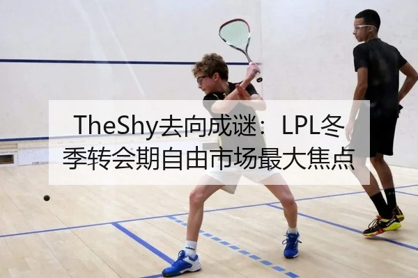 TheShy去向成谜：LPL冬季转会期自由市场最大焦点